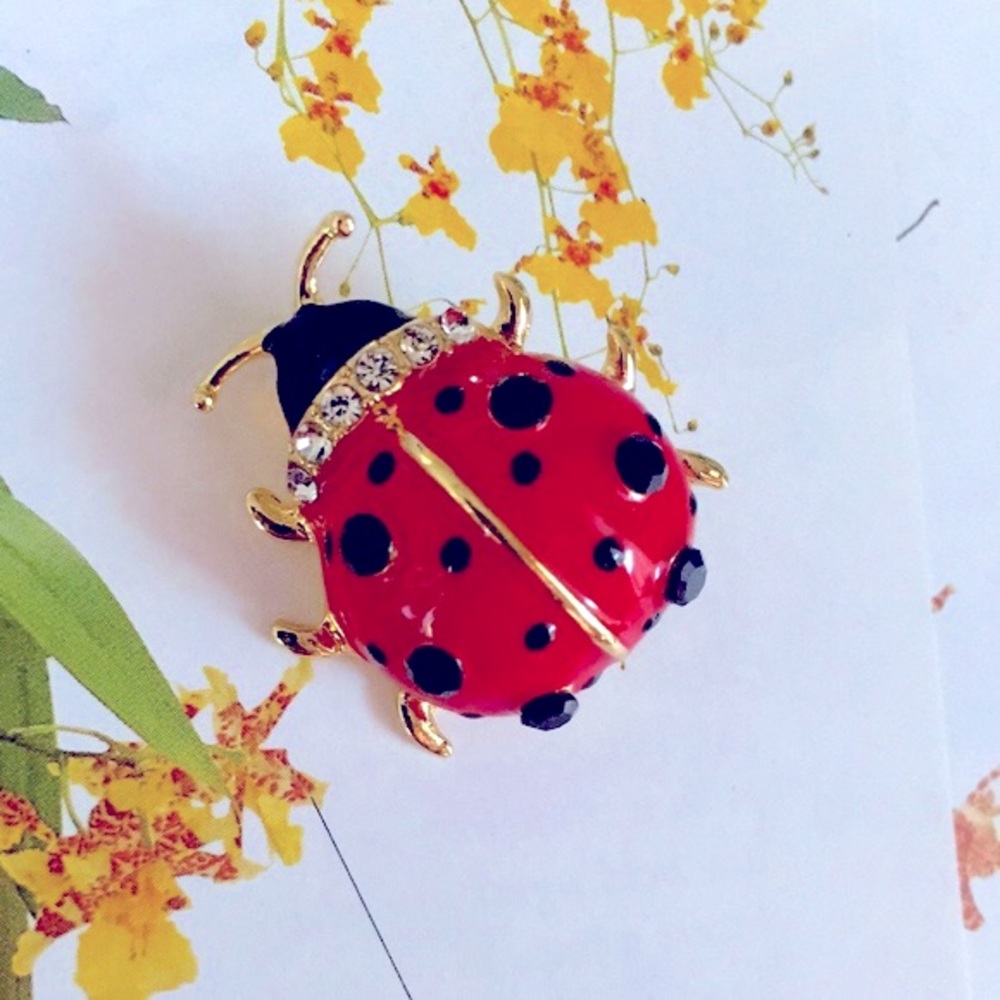 🍏50% OFF/3+...Cute Ladybug Brooch